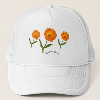 Hat - Calendula with Text