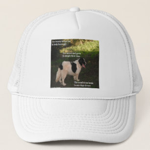 Hat Poem Poem Any Dogs Dream By Ladee Basset