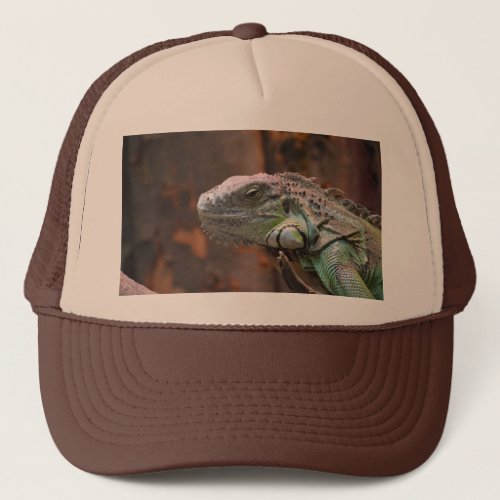 Hat with colorful Iguana lizard