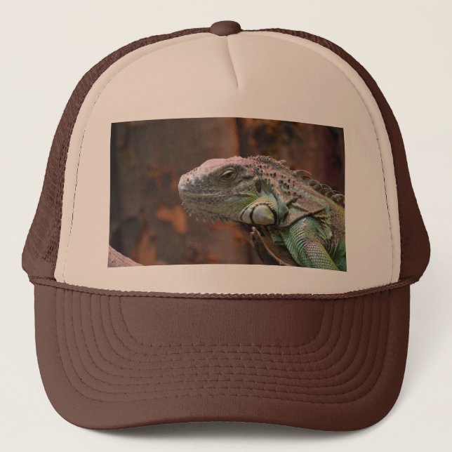 Hat with colorful Iguana lizard (Front)