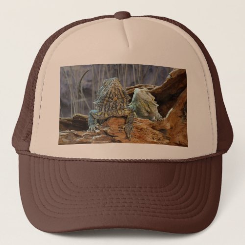 Hat with two curious lizards