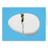 Hatching Egg (Front Horizontal)