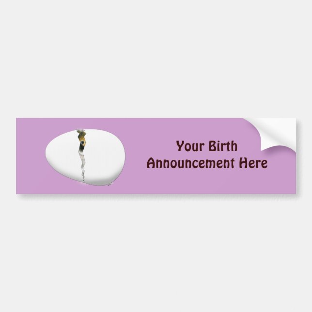 Hatching Egg Bumper Sticker (Front)