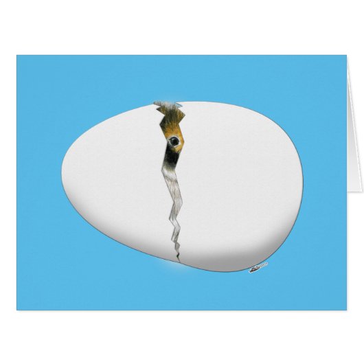 Hatching Egg Cards (Front Horizontal)