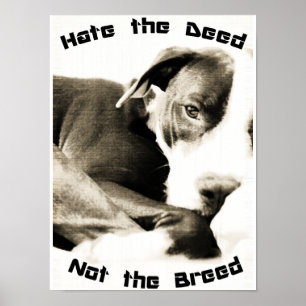 hate the breed not the deed pitbull poster print