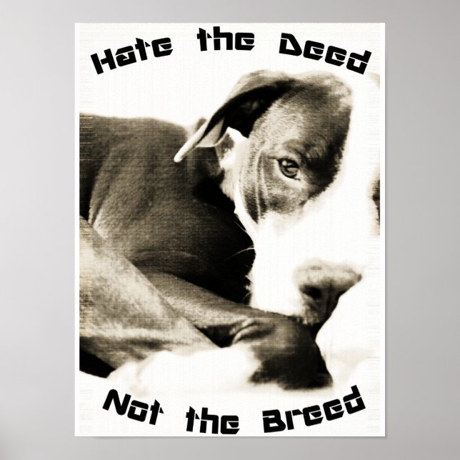 hate the breed not the deed pitbull poster print (Front)