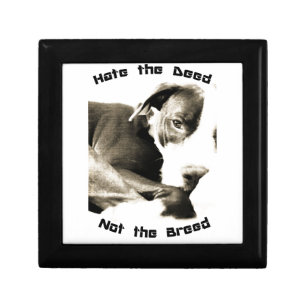 hate the deed not the breed pitbull jewelry box