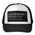 SNOWBERRY ROaD  Hats
