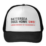 Battersea dogs home  Hats