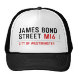 JAMES BOND STREET  Hats