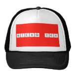 Science fair  Hats