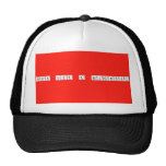 Think like a scientist  Hats