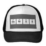 Genius  Hats