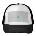 North
 South
 East
 West
 800 steel street Ny City by: Janelle H Cooper  Hats