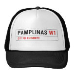 PAMPLINAS  Hats