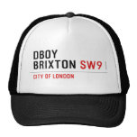 DBOY BRIXTON  Hats