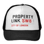  Property Link  Hats