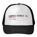 Andrea street   Hats