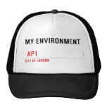 My environment    Hats
