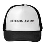 COLEBROOK LANE  Hats