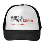 MERT B. SFTWR  Hats