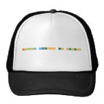 Follow Dragons to Success  Hats