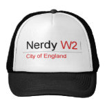 Nerdy  Hats