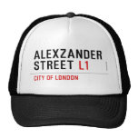 alexzander Street  Hats