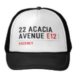 22 ACACIA AVENUE  Hats