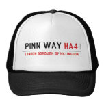 Pinn Way  Hats