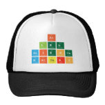 At 
 Lee
 Science
 Matters  Hats