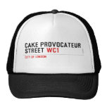 CAKE PROVOCATEUR  STREET  Hats