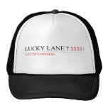 Lucky Lane 7  Hats