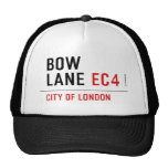 Bow Lane  Hats