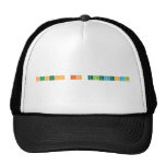 Success is elemental  Hats