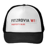 Fitzrovia  Hats