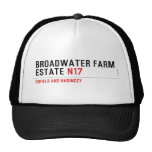 Broadwater Farm Estate  Hats