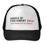 houses of parliament  Hats