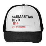 sarmartian blvd   Hats