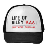 life of  riley  Hats