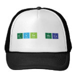 Evin hoca   Hats