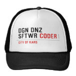 DGN DNZ SFTWR  Hats