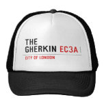 THE  GHERKIN  Hats