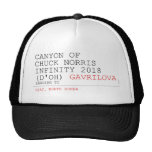 Canyon of chuck norris INFinity 2018 (D'oh)  Hats