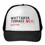 whittaker  terrace  Hats