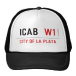 ICAB   Hats