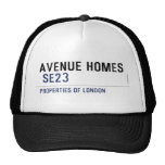 Avenue Homes   Hats