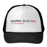 Diagonal Alley  Hats