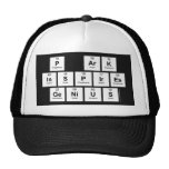 P aRK
 INSPIRES
 GENIUS  Hats