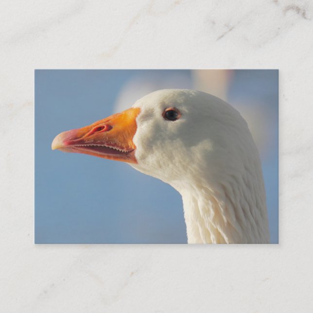 Haughty White Goose Business Card (Front)